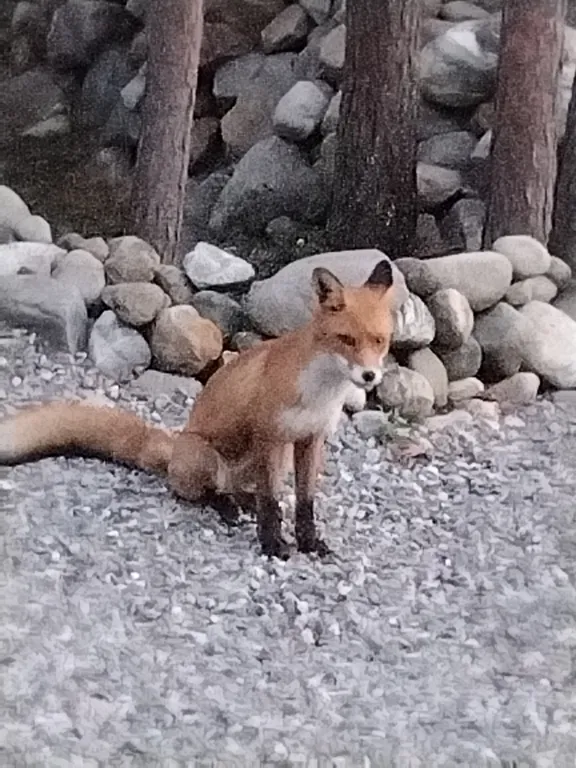 Дом с баней