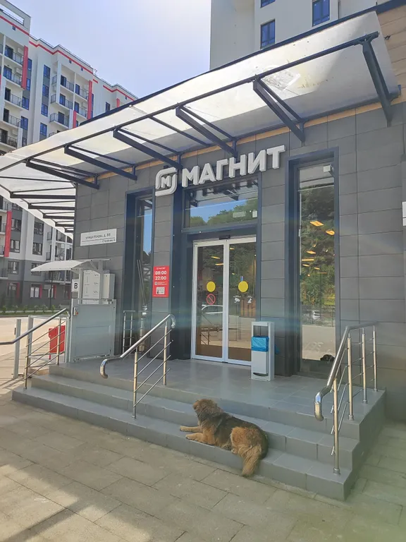 Квартира-студия для романтических поездок