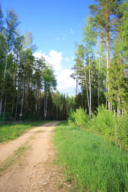 Коттедж Домик в лесу у озера для семейного отдыха — Турбаза Чайка