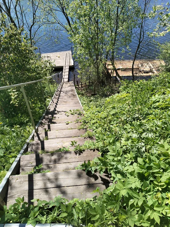 Домик в глуши