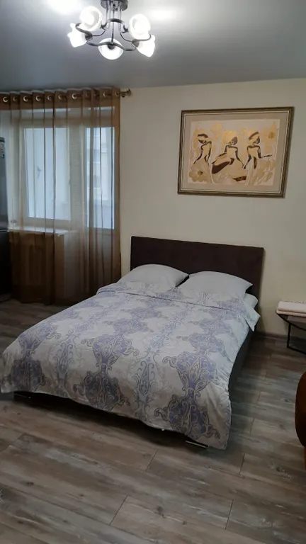 Квартира-студия рядом с Ледовой ареной на Пугачева