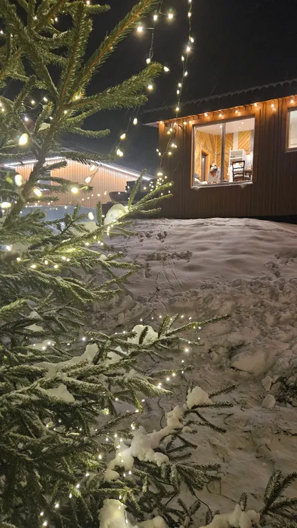 Коттедж 2-комнатный Дом — Шаховская