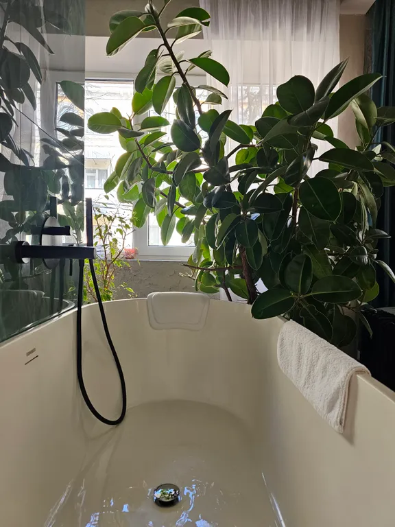 Апартамент номер 2 Otelier Secouard