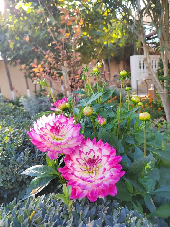 Коттедж Отдельная часть дома с беседкой рядом с парком и пляжем Учкуевка — Севастополь