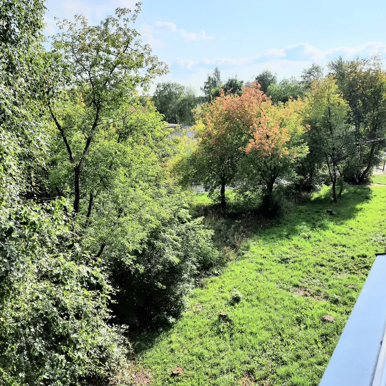 Уютная, безупречно чистая квартира в центре города