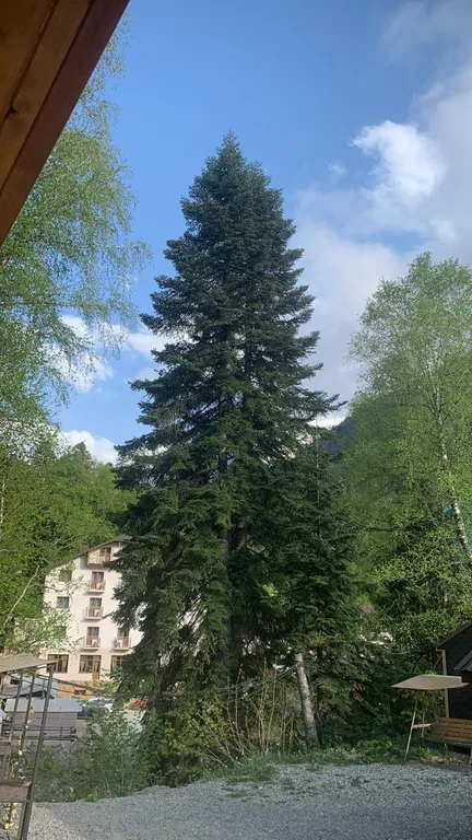 Домик у реки возле канатной дороги