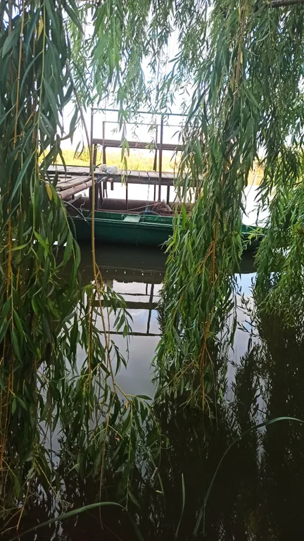 Дача на реке