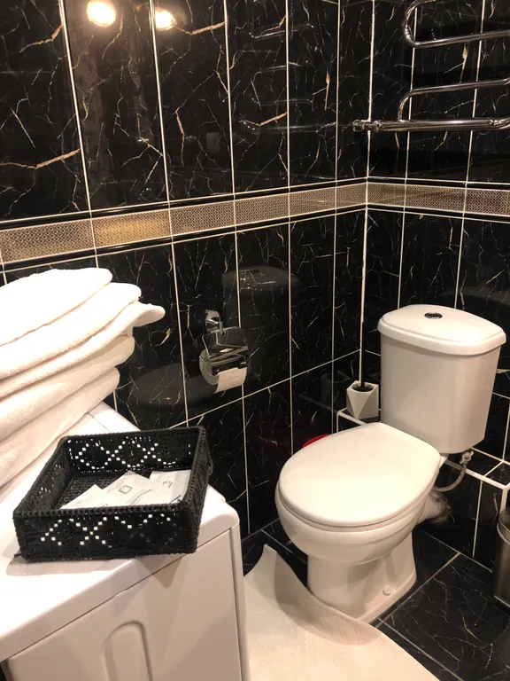 Студия-гостиничный номер в Александровском парке