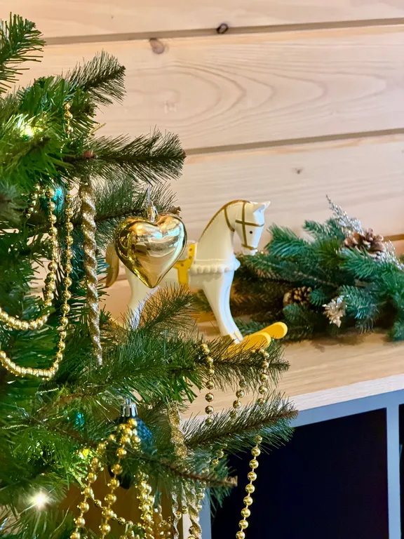 Дом на берегу Ладоги