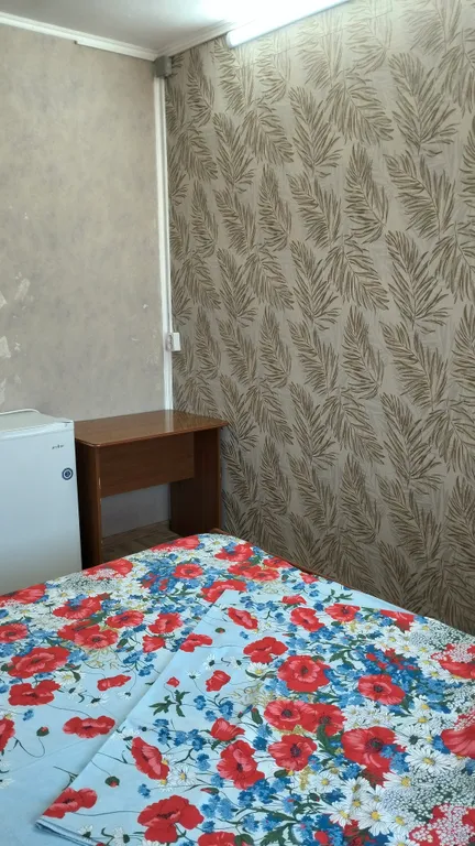 2х местный номер с удобствами, с двуспальной кроватью