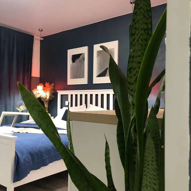 Сosta Nova, 15 минут от DME