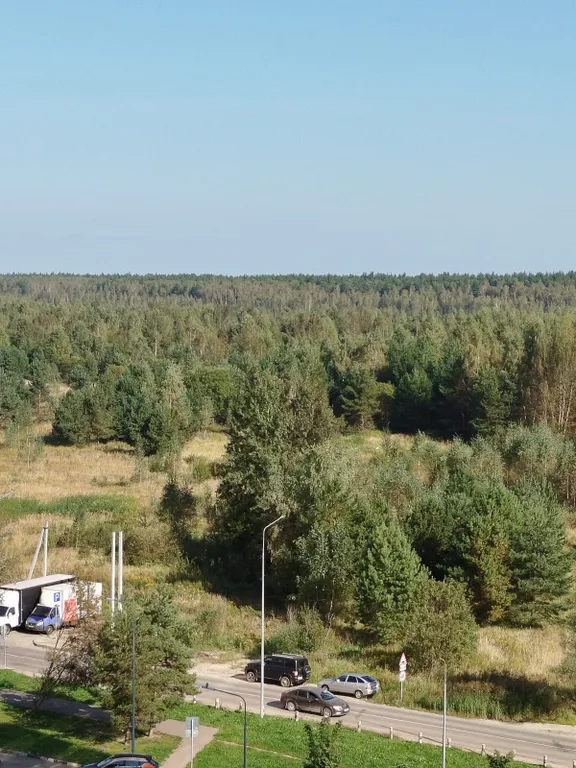 Уютная квартира рядом с лесным массивом