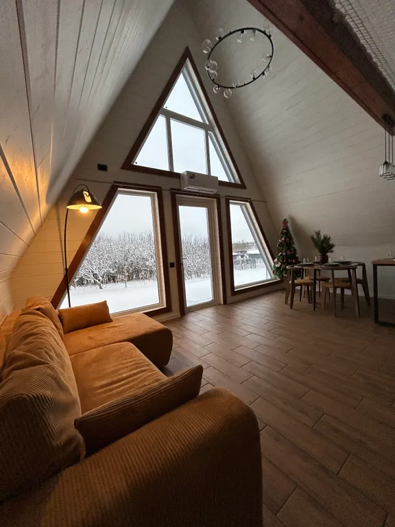 Современный треугольный эко дом