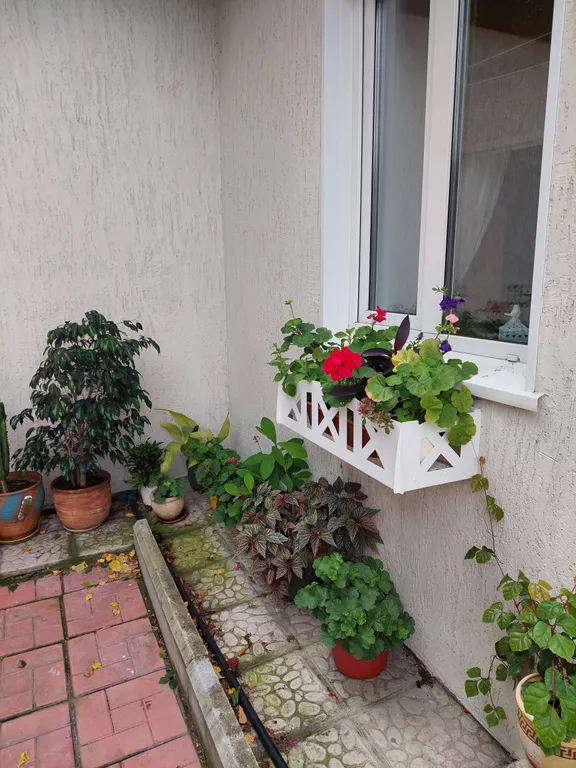 Уютный дом на берегу реки