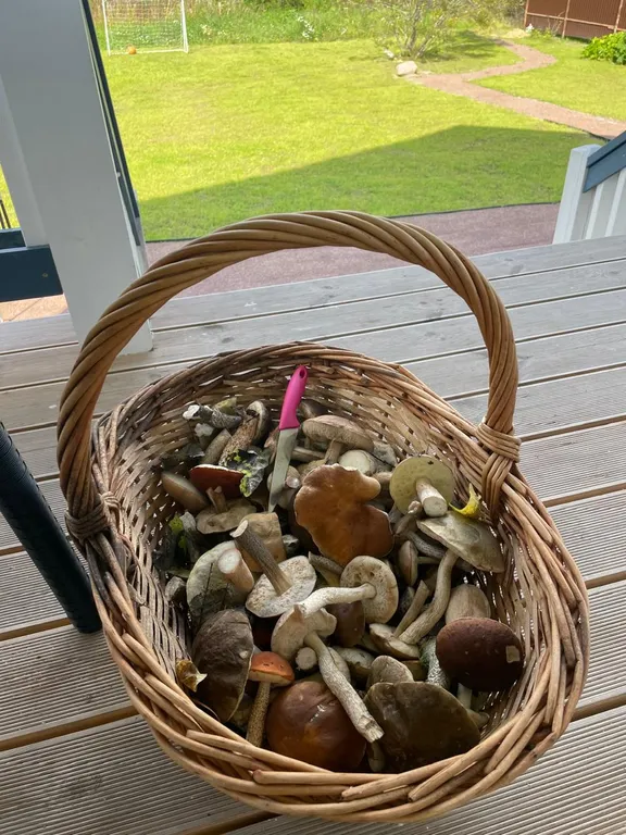 Коттедж Дом у леса с баней и чаном — Санкт-Петербург