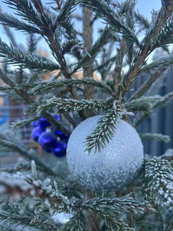 Коттедж Дом в одном из самых красивых мест для семейного отдыха — Сиверский