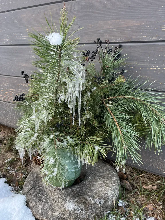 Шале Лесное в Беловежской пуще с электробатареями и выходом в лес