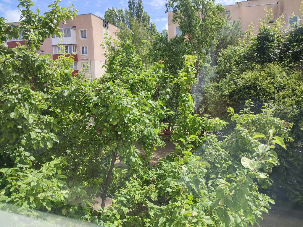 Квартира Квартира Baltic Resort у парка — Зеленоградск