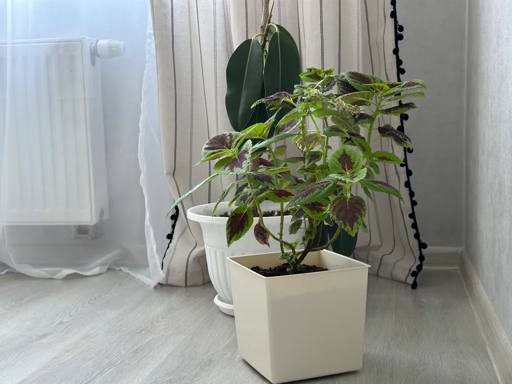 Квартира с душой