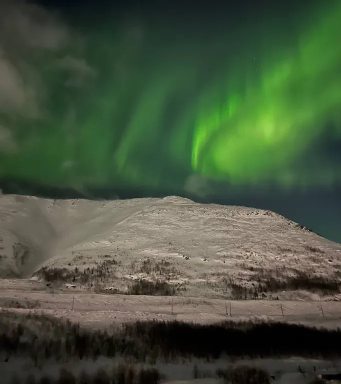 3-ех комнатные апартаменты Кукисвумчорр