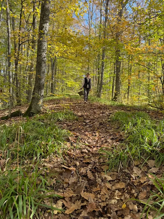 А-Фрейм Морской в новом уютном Глэмпинге в окружении гор. Море, пляж.
