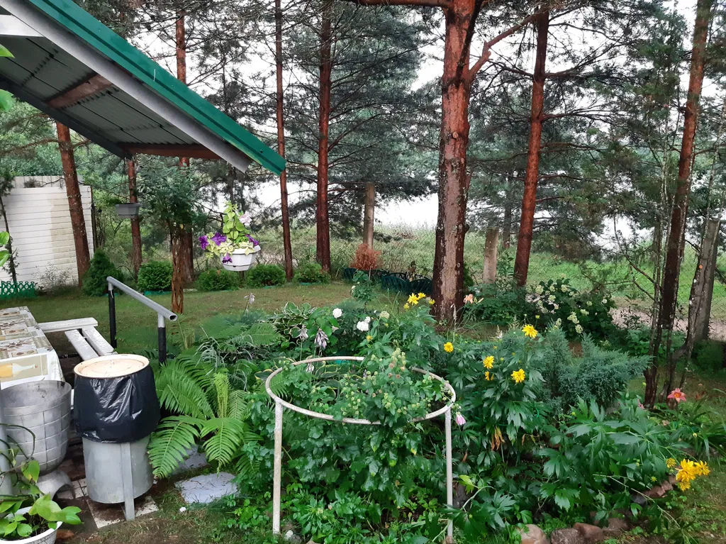 Домик у озера