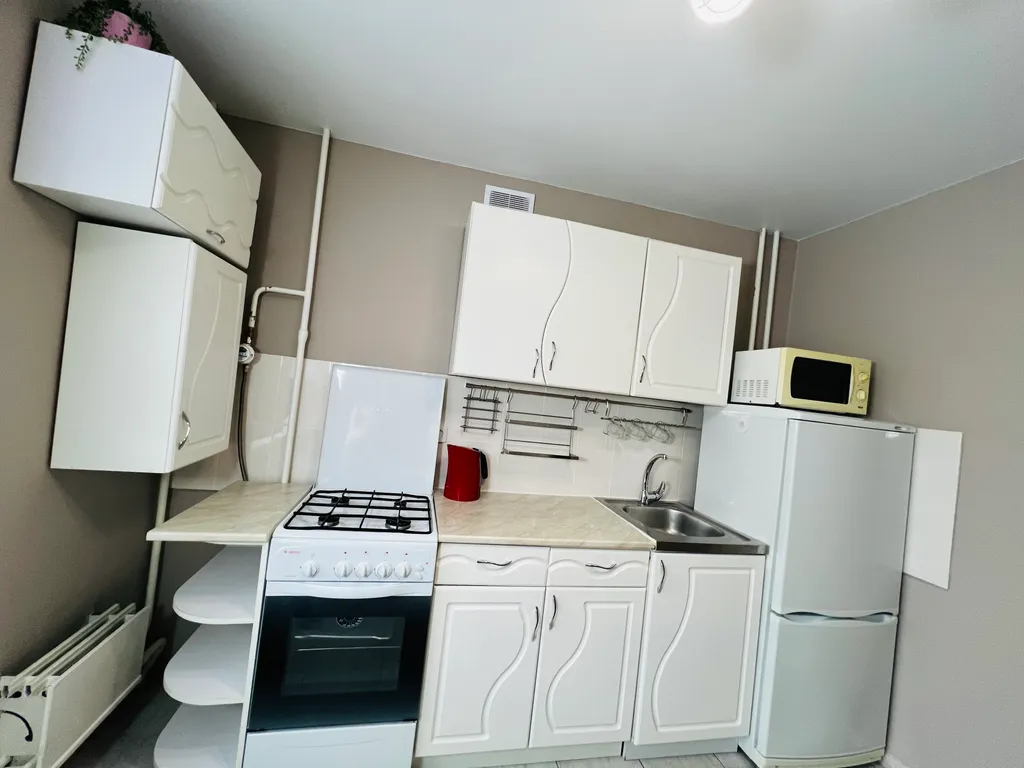 1-комнатная квартира в деловом и историческом центре города с новогодней елкой