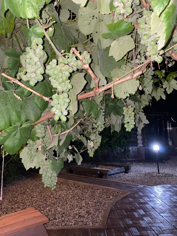 Уютный Дом Шале для семейного отдыха или в компании близких друзей