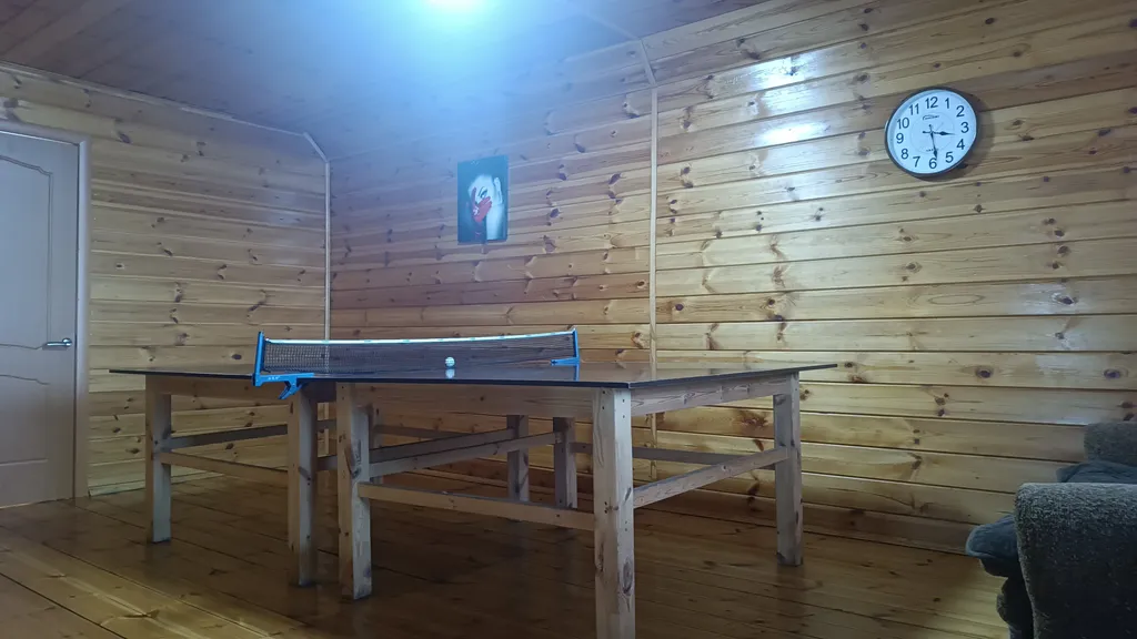 Дом - коттедж У Федота в черте города