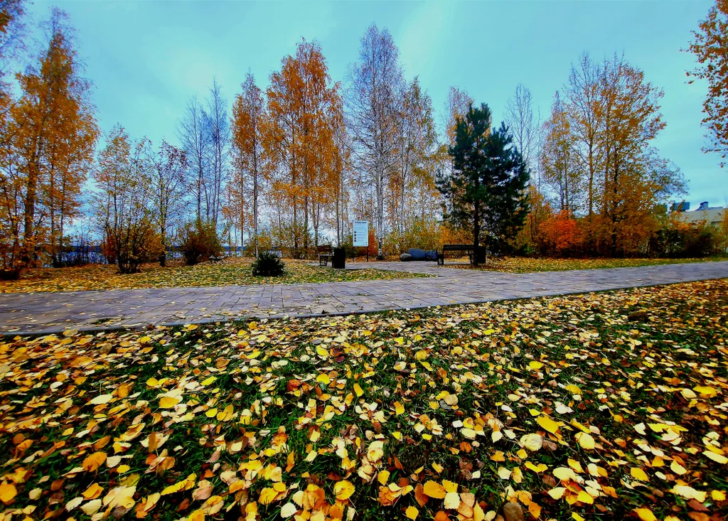 Уютная квартира на берегу Онеги