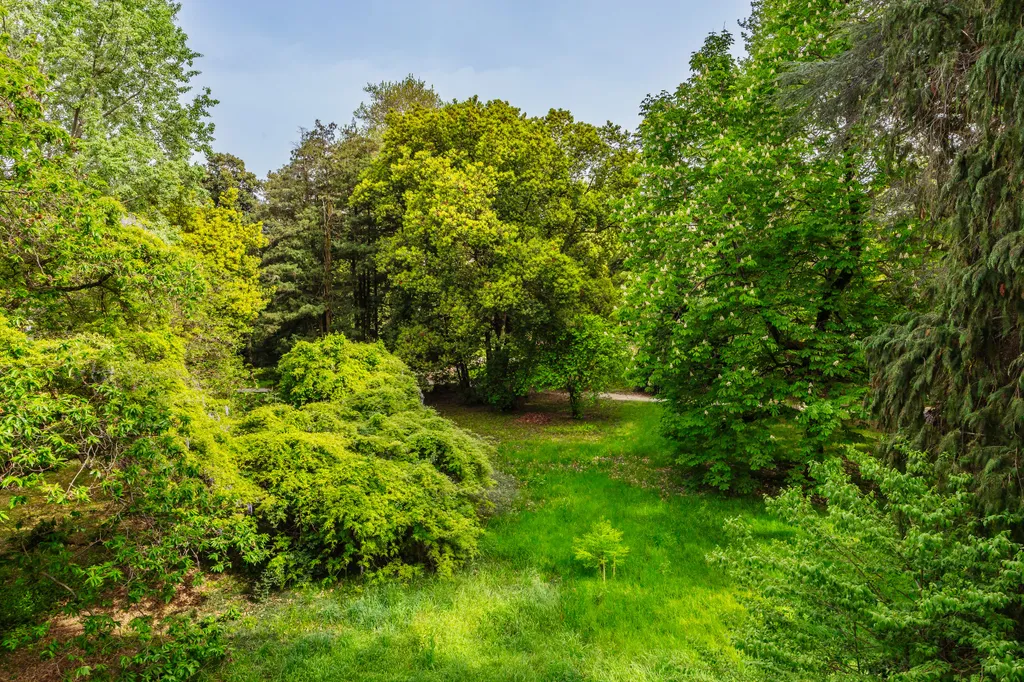 Квартира с видом на парк