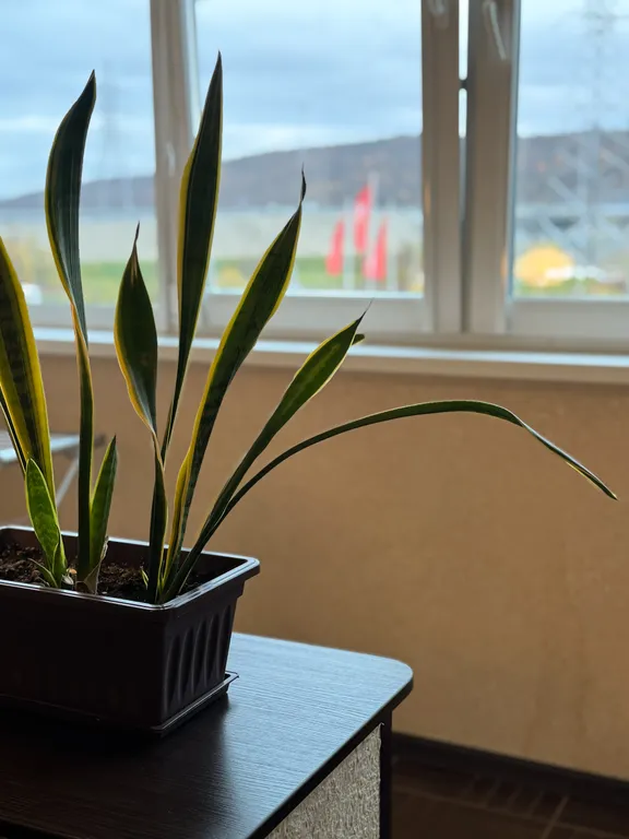 Просторная 3-комн. квартира на ул. Шабалина, 47