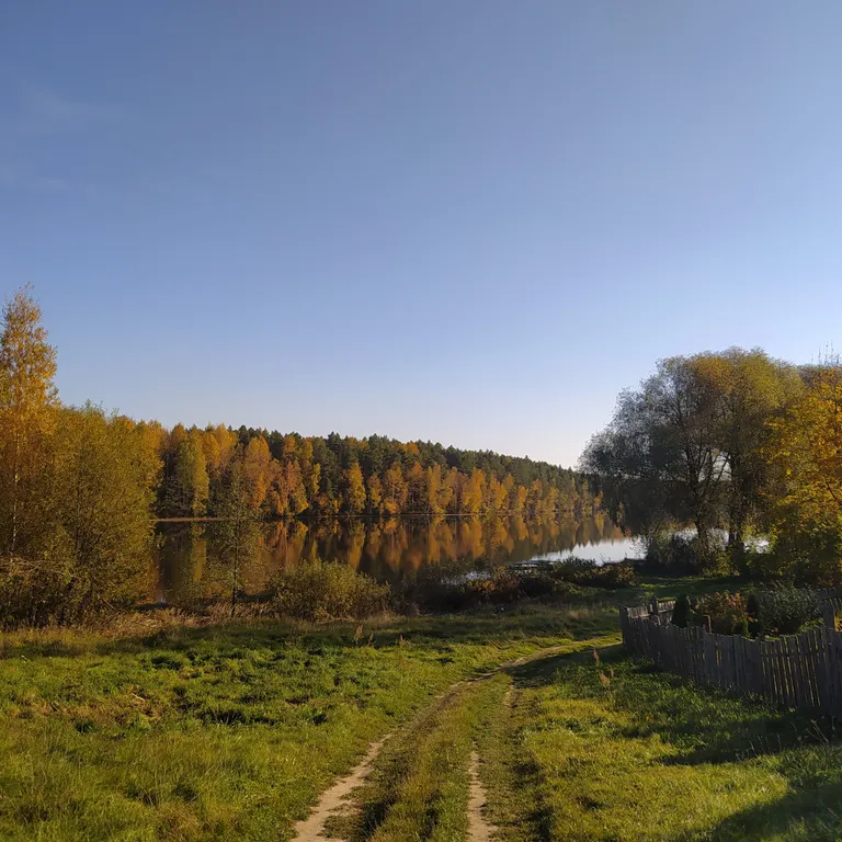 Дом у лесного озера