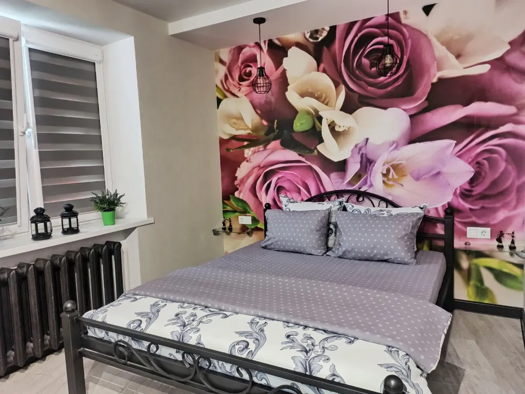 Квартира студия у Лидского замка