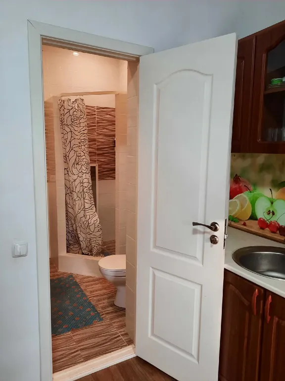 Квартира Апартаменты возле моря — Полюшко