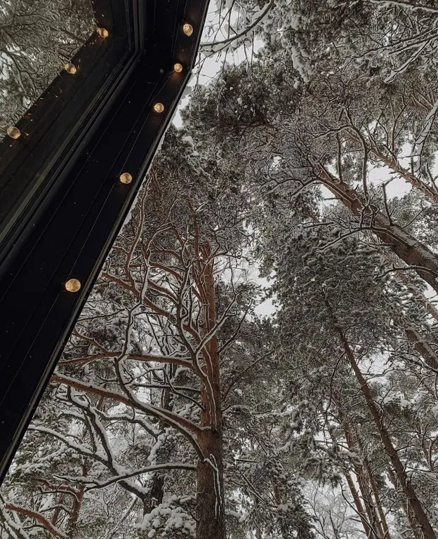 Коттедж Панорамный домик в стиле афрейм на Вуоксе — Кротово