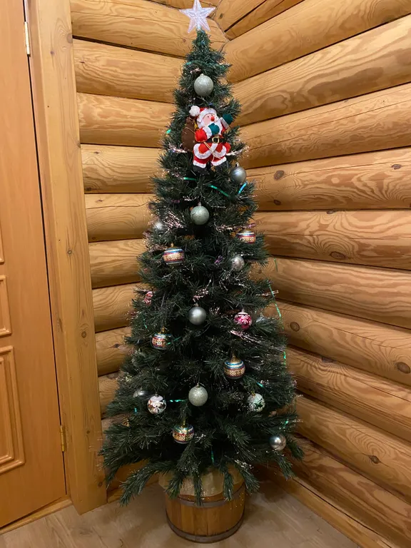 Эко-дом Хвойный лес с баней