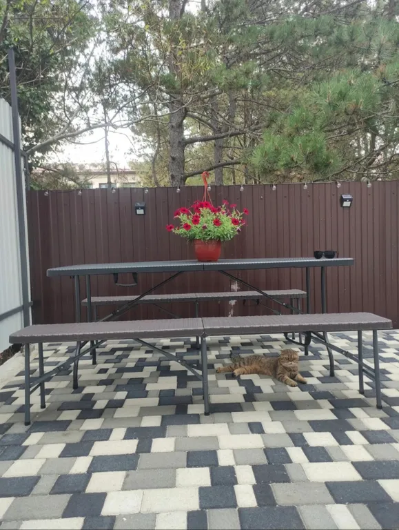 Апартаменты Белый дом у Моря