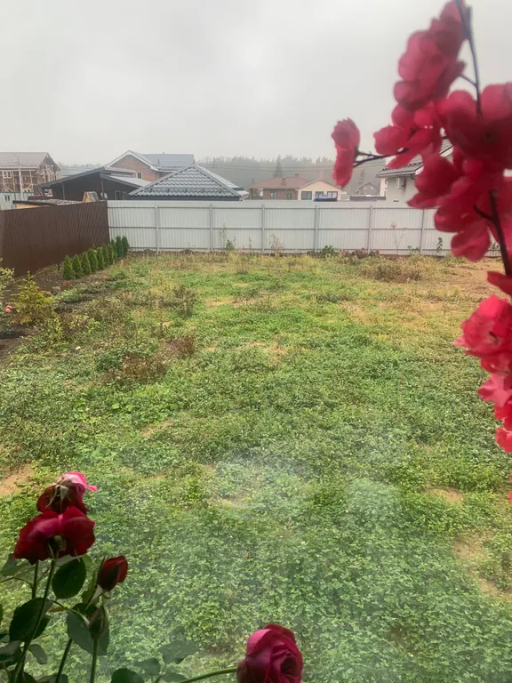 Уютный дом у леса и озера