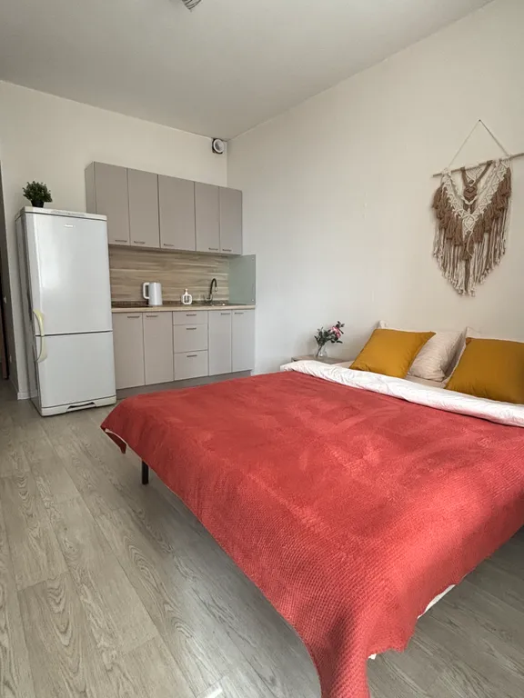 Уютная студия с видом на горы