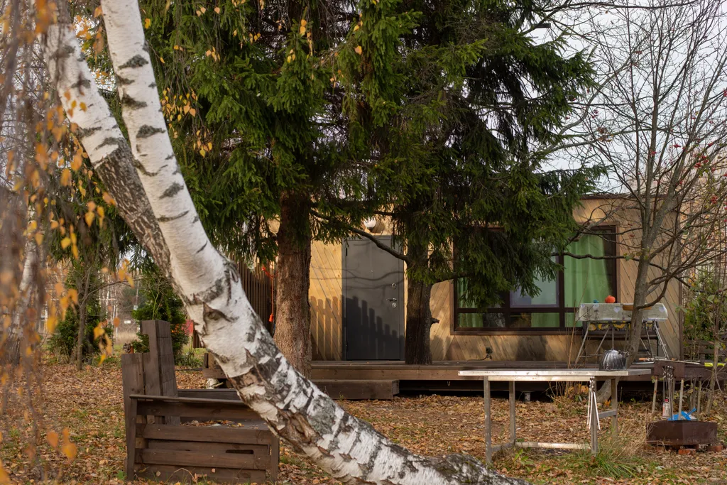 Чудо-дача, дом Акула на берегу пруда