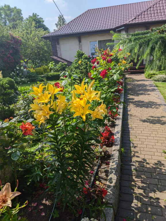 Студия в тихом уголке