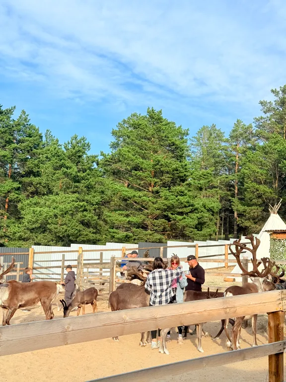 Дома А-фрейм на Ольхоне с видом на Байкал!