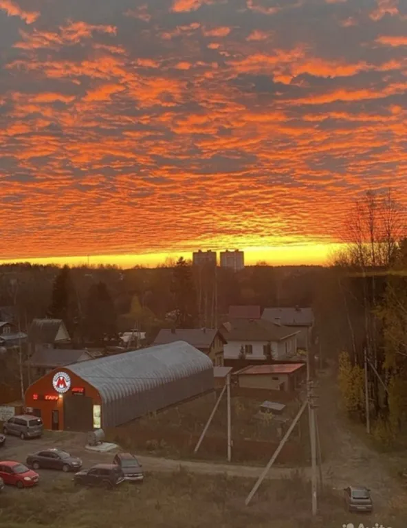 Новая студия