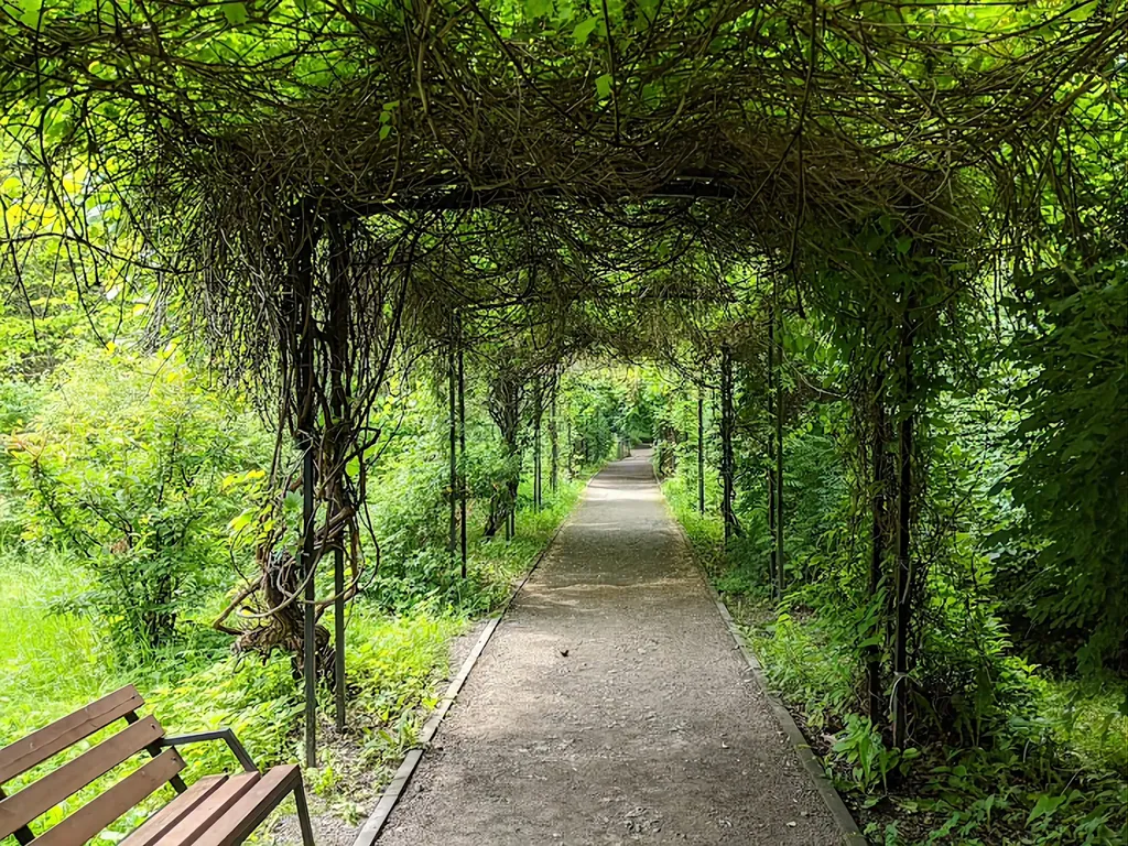 Квартира 1-комнатная Квартира — Калининград