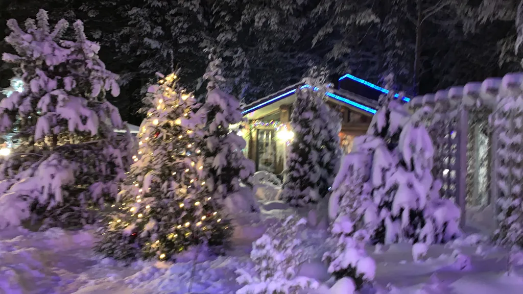 Дом в сосновом бору