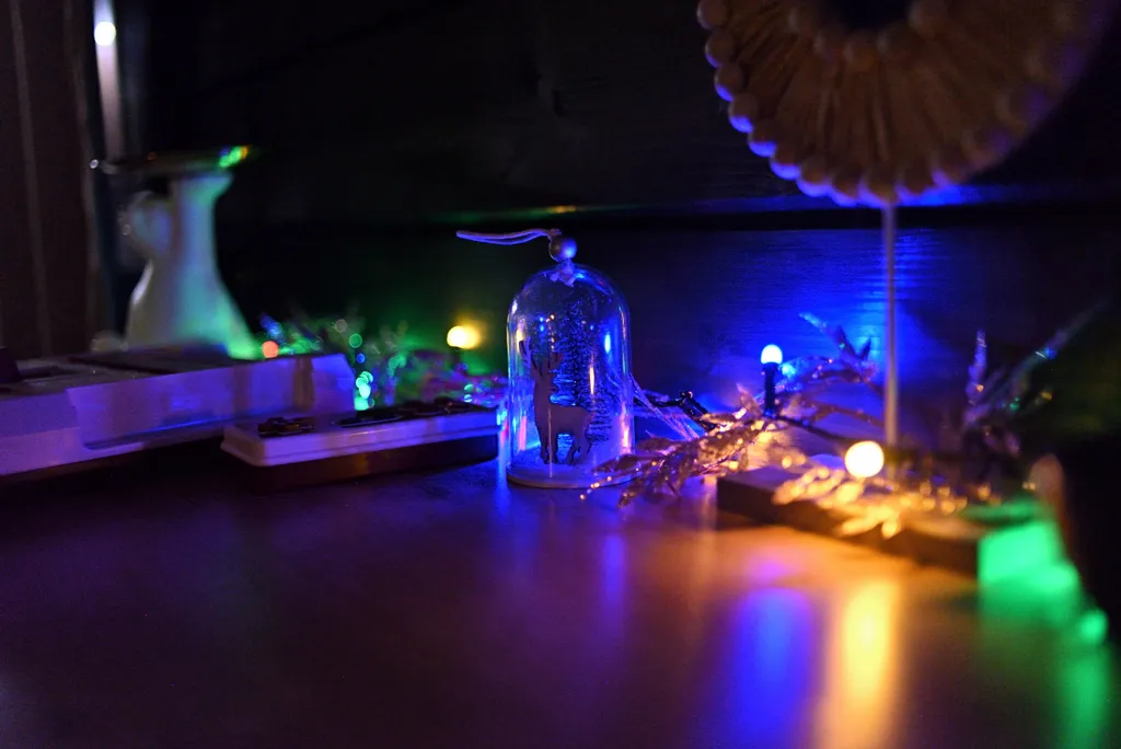 Роза Ветров