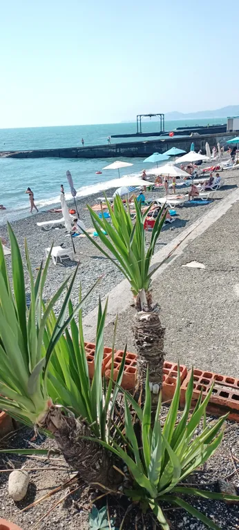 Квартира у моря