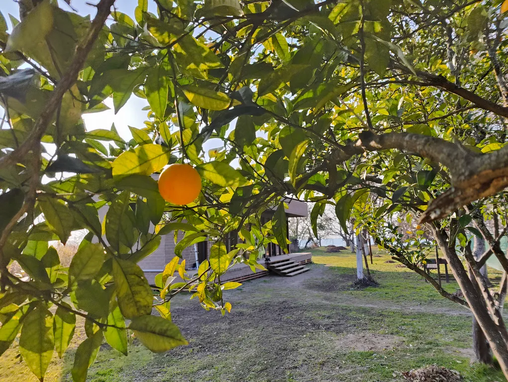 Дом с морем за калиткой