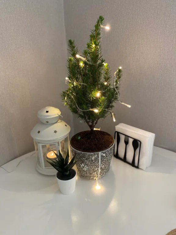 Апартаменты рядом с Набережной Брюгге и центром